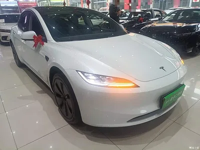 2025 Tesla Model 3 Model Year Facelift Rear-Wheel Drive, фото 4, лот 10889015