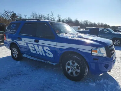 2008 FORD EXPEDITION XLT, фото 4, лот 10502868