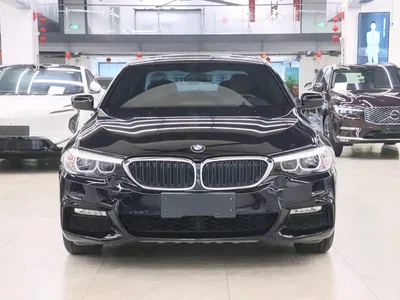 2018 BMW 5 Series Facelift 530Li xDrive M Sport Package, фото 2, лот 10895667