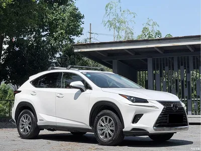 2017 Lexus NX 300h FWD Sharp Style Edition, фото 3, лот 10317031