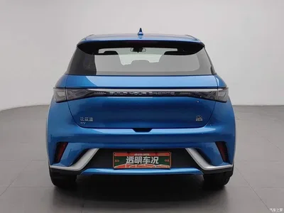 2021 BYD Dolphin Model 405km Fashion Edition, фото 4, лот 11580949