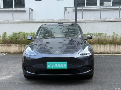 2024 Tesla Model Y Rear-Wheel Drive Version, фото 2, лот 11215328
