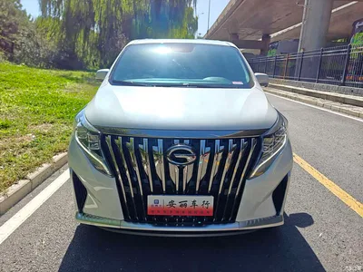 2021 GAC Trumpchi Trumpchi M8 Master Series 390T Ultimate Edition, фото 3, лот 11548361