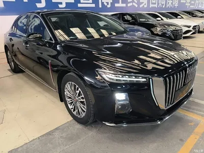 2024 Hongqi H5 1.5T DCT Smart Connect Flag Rhythm Edition, фото 4, лот 10662044