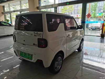 2023 Geely Galaxy Panda Mini 200km Endurance Bear, фото 4, лот 11518992