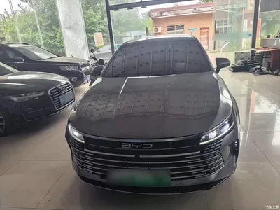 2023 BYD Destroyer 05 Champion Edition DM-i 55KM Luxury, фото 3, лот 10267797