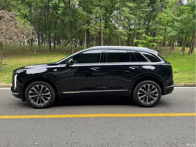 2025 Cadillac XT5 2.0T FWD Style Edition, фото 4, лот 11196954