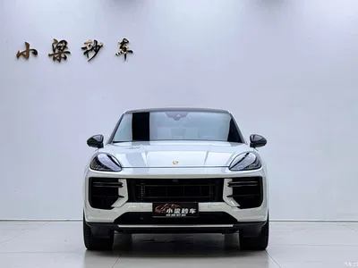 2022 Porsche Cayenne S Coupé 2.9T Platinum Edition, фото 2, лот 10424251