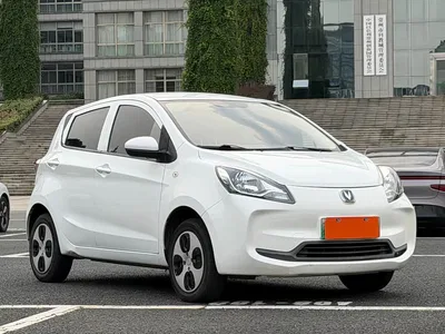 2021 Changan Benben E-Star National Edition Xinyi LFP (31.86kWh), фото 3, лот 10680168