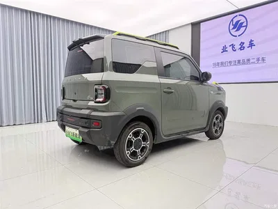 2024 Geely Galaxy Panda 200km Panda Knight, фото 4, лот 10431013