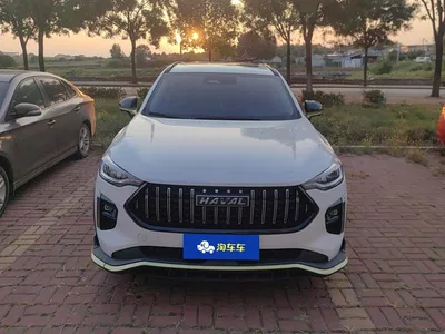 2021 Haval Chitu Turbo Edition 1.5T Golden Rabbit, фото 2, лот 10838340