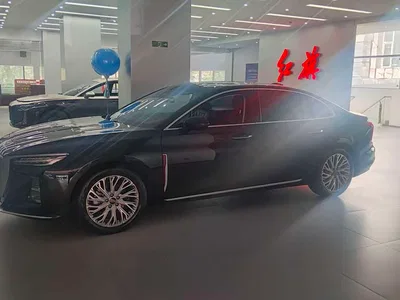 2023 Hongqi H5 2.0T Auto Smart Connect Flag Comfort, фото 4, лот 11202813