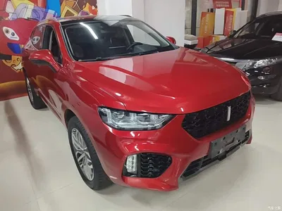 2017 WEY VV5 2.0T Super Luxury Model, фото 4, лот 11502184