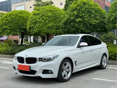 2020 BMW 3 Series GT 320i M Sport Package, фото 1, лот 10473436