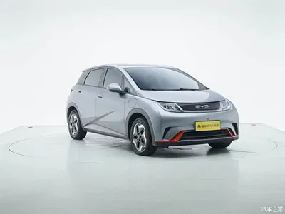 2021 BYD Dolphin 405km Freedom Edition, фото 2, лот 10252450