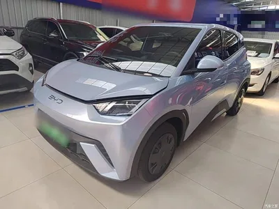 2024 BYD Seagull Glory Edition 305km Vitality Edition, фото 2, лот 10258733