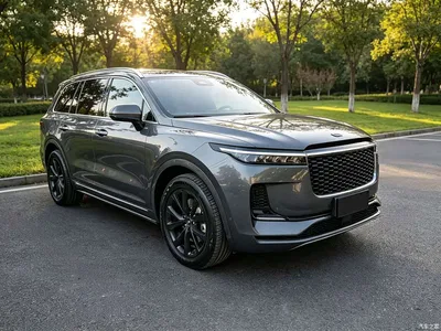 2021 Li Auto Li ONE Extended Range 6-Seater, фото 3, лот 11081741