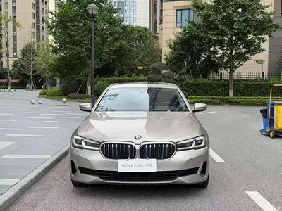 2019 BMW 5 Series 525Li Luxury Package, фото 2, лот 10889264