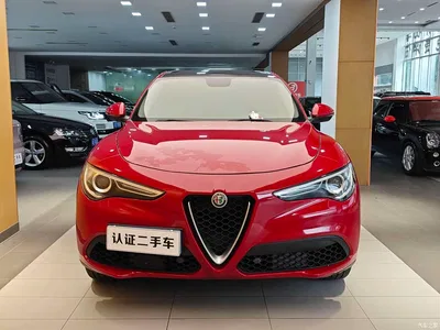 2017 Alfa Romeo Stelvio 2.0T 200HP Elite, фото 3, лот 10916975