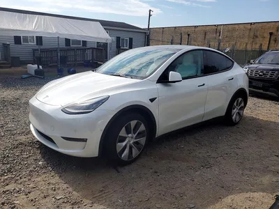 2021 TESLA MODEL Y, фото 1, лот 10855144