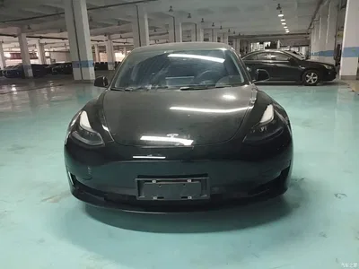 2022 Tesla Model 3 Model Rear-Wheel Drive Version, фото 3, лот 11189480