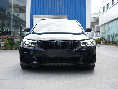 2019 BMW 5 Series Facelift 530Li Leading M Sport Package, фото 2, лот 11181193
