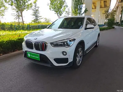 2018 BMW X1 sDrive20Li Leading Model, фото 1, лот 10467422