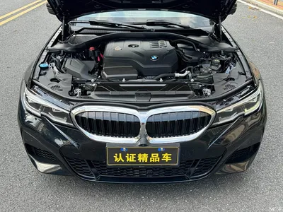 2021 BMW 3 Series Facelift 325Li xDrive M Sport Package, фото 4, лот 11206449
