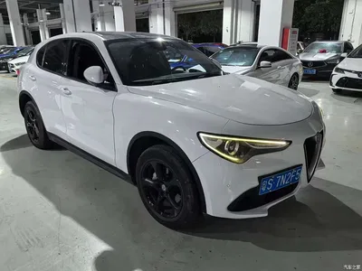 2017 Alfa Romeo Stelvio 2.0T 200HP Elite, фото 2, лот 10239861