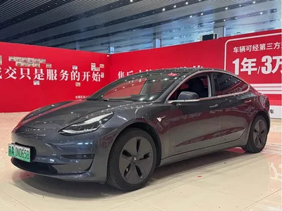 2020 Tesla Model 3 Standard Range Rear-Wheel Drive Upgrade, фото 1, лот 10346526