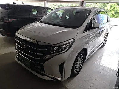 2021 GAC Trumpchi Trumpchi M8 Leading Show Series 390T Ultimate Edition, фото 2, лот 10421631