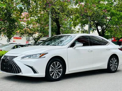 2022 Lexus ES 300h Excellence Edition, фото 1, лот 10312163