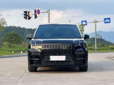 2022 ZEEKR 009 WE Edition, фото 4, лот 11142060