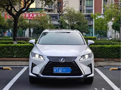 2016 Lexus RX 300 2WD Elite Edition (China V), фото 2, лот 10317196