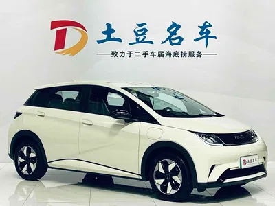 2025 BYD Dolphin 420km Freedom Edition, фото 3, лот 10249949