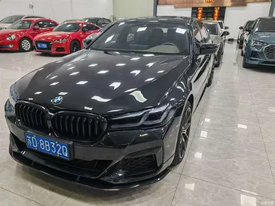 2022 BMW 5 Series 530Li Leading M Sport Package, фото 1, лот 10446002