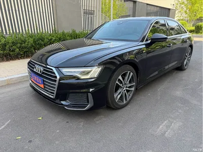 2019 Audi A6L 40 TFSI Luxury Dynamic, фото 1, лот 10433398