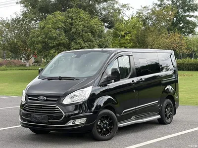 2020 Ford Tourneo 2.0T Auto Elite Edition China VI, фото 1, лот 10361770