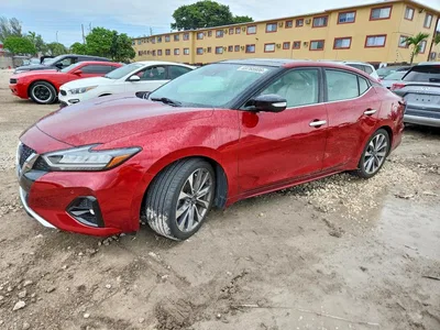 2023 NISSAN MAXIMA PLATINUM, фото 1, лот 11186752