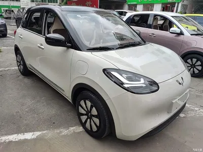 2024 Wuling Motors Wuling Bingo 333km Comfort Edition, фото 4, лот 10371931