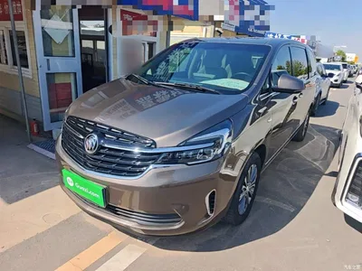 2021 Buick GL8 Land Business Class 652T Luxury, фото 1, лот 11568311