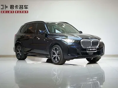 2026 BMW X5 xDrive 30Li Luxury M Sport Night Edition Package, фото 4, лот 10239108