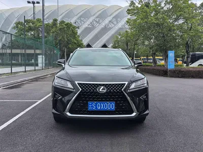 2016 Lexus RX 300 2WD Elite Edition China VI, фото 2, лот 10400827
