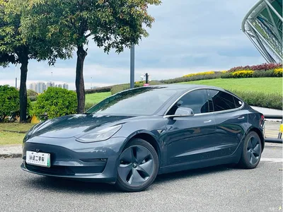 2020 Tesla Model 3 Facelift Long Range Rear-Wheel Drive, фото 1, лот 11548455