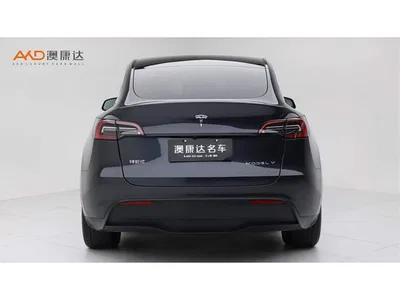 2024 Tesla Model Y Rear-Wheel Drive Version, фото 4, лот 11548635