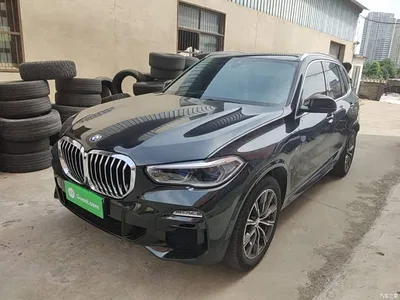 2019 BMW X5 (Import) xDrive40i M Sport Package, фото 1, лот 10464222