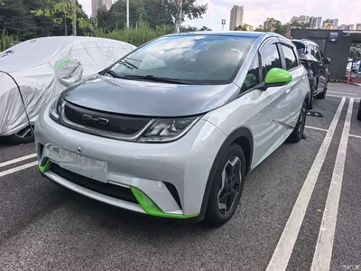 2021 BYD Dolphin Model 405km Fashion Edition, фото 1, лот 10254243