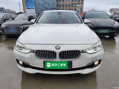 2019 BMW 3 Series 320Li xDrive Fashion Type, фото 3, лот 11191623