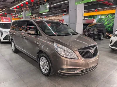 2017 Buick GL8 25S Premium Model China V, фото 4, лот 10259993
