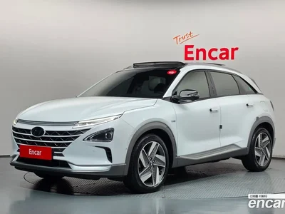 2020 Hyundai Nexo Premium, фото 1, лот 10403813